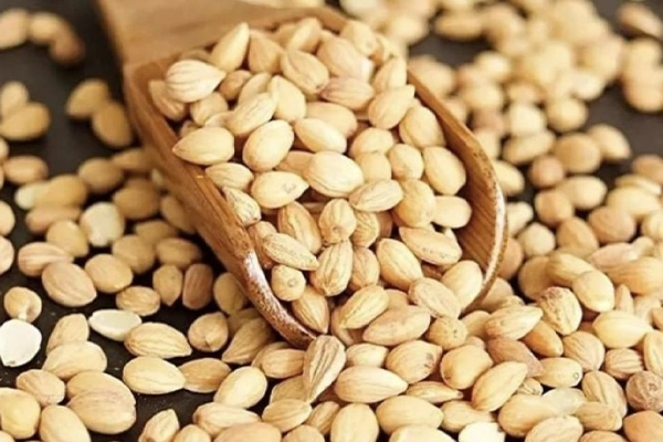 Mahleb health benefits