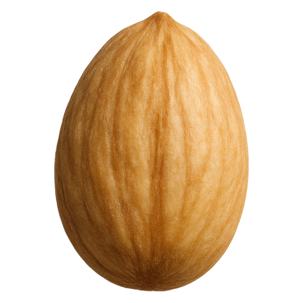 mahleb nut one